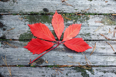 Similar image 11889807