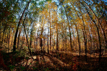 Similar image 11889808