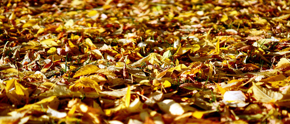 Similar image 11889810