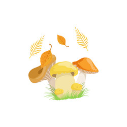 Similar image 11921249