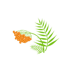 Similar image 11921282