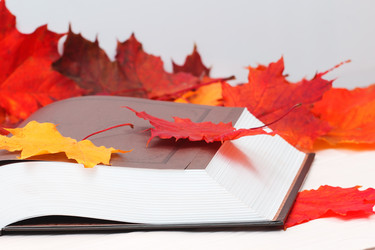 Similar image 11917963