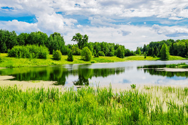 Similar image 11917770