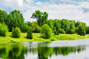 Similar image 11917771