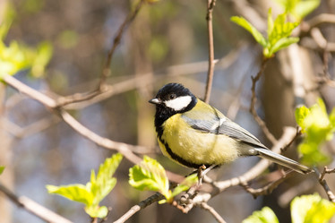 Similar image 11917797