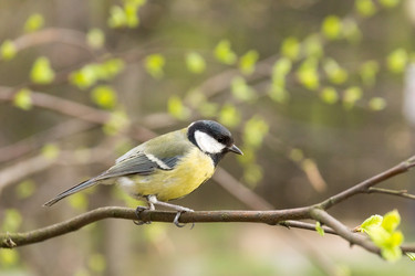 Similar image 11917798