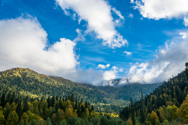 Similar image 11895989