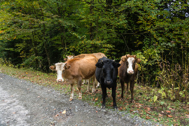 Similar image 11895992