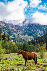 Similar image 11895995