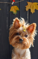 Similar image 11923676