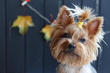 Similar image 11923702