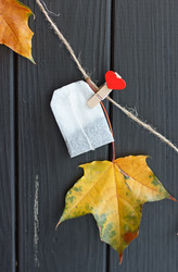 Similar image 11923704