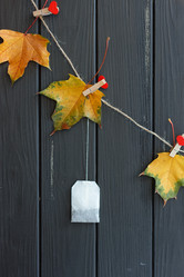 Similar image 11923720