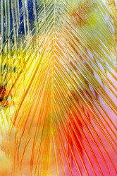 Similar image 11922370