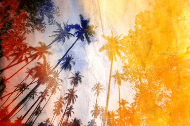 Similar image 11922411