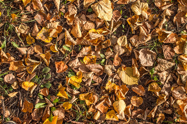 Similar image 11896182