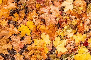 Similar image 11896183