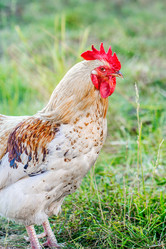 Similar image 11896185