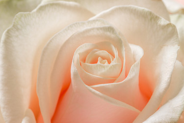 Similar image 11896189