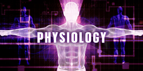 Similar image 11920433