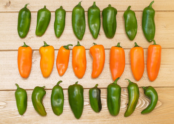 Similar image 11918420