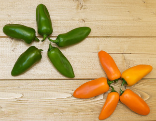 Similar image 11918423