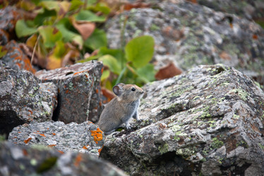 Similar image 11896106