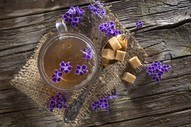 Similar image 11918094