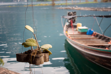 Similar image 11898630