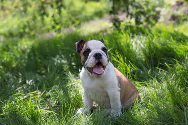 Similar image 11898633