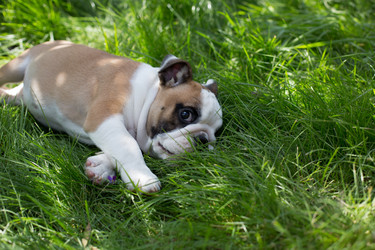 Similar image 11898634