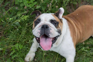 Similar image 11898636