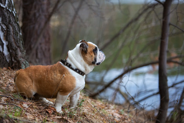 Similar image 11898639