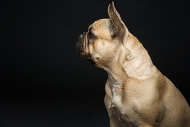 Similar image 11912934