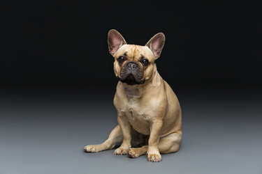 Similar image 11912936