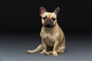 Similar image 11912588