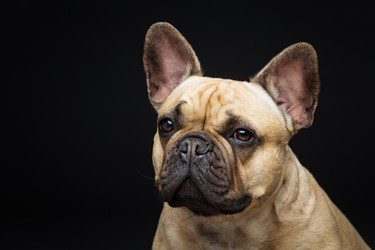 Similar image 11912666