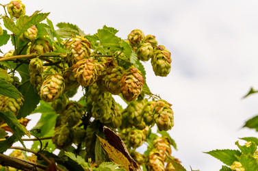 Similar image 11895964