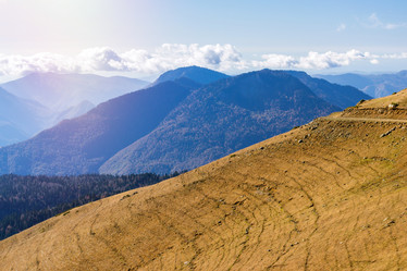 Similar image 11918134