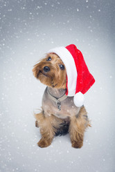 Similar image 11912805