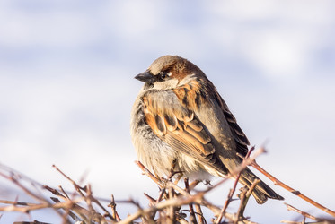 Similar image 11917904