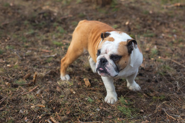 Similar image 11897490