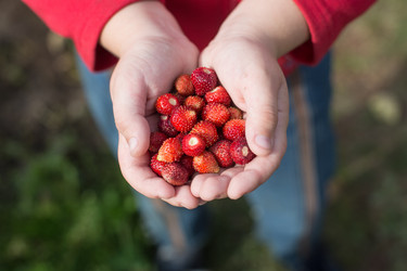 Similar image 11898640