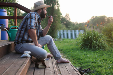 Similar image 11917818