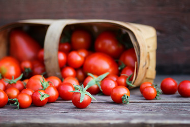 Similar image 11917840