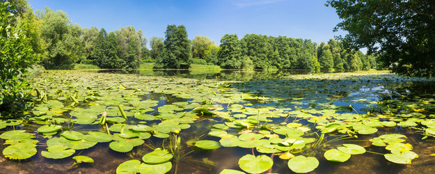 Similar image 11910781