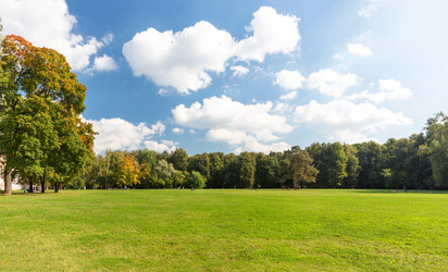 Similar image 11910796