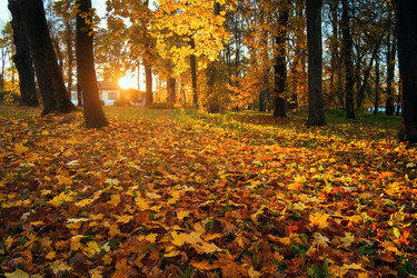 Similar image 11898595