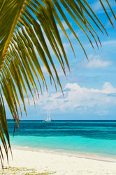 Similar image 11898641