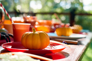 Similar image 11897795